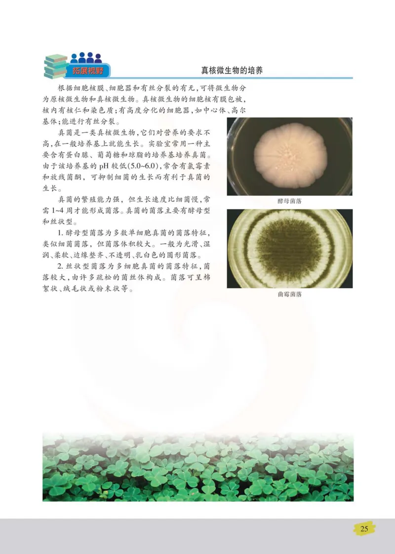 生物选修1生物技术实践_高中课本电子全科人教版语数英政历地物化生必修选修全套课本PPT_高中课本苏教版_高中生物苏教版