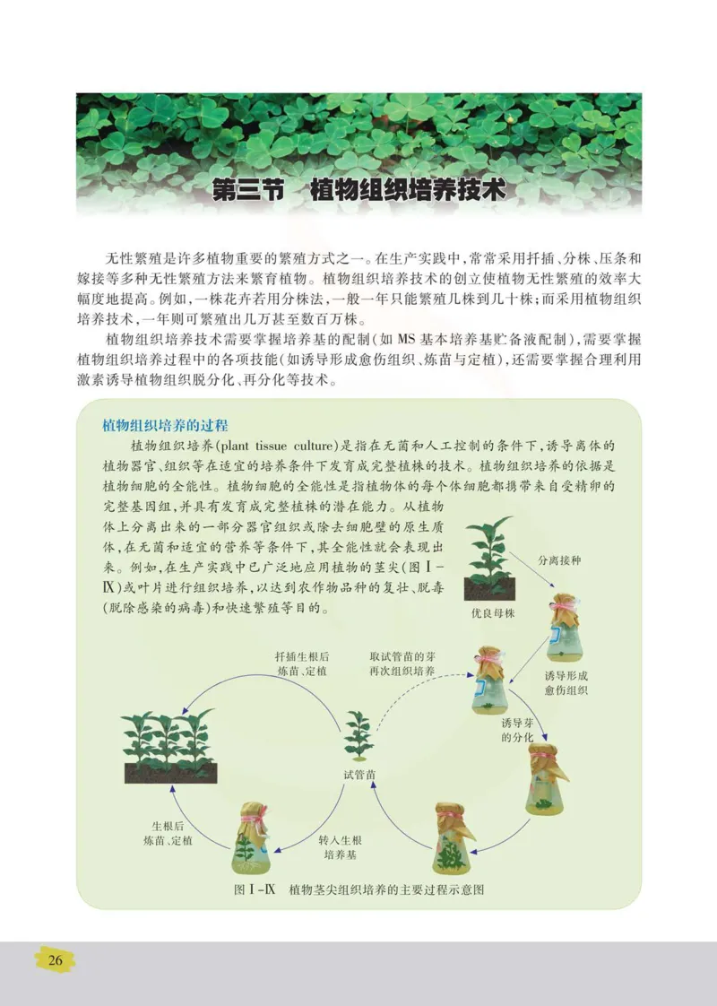 生物选修1生物技术实践_高中课本电子全科人教版语数英政历地物化生必修选修全套课本PPT_高中课本苏教版_高中生物苏教版