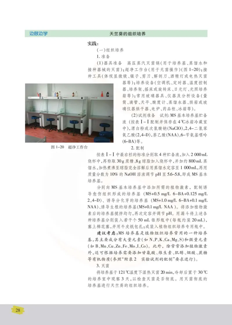 生物选修1生物技术实践_高中课本电子全科人教版语数英政历地物化生必修选修全套课本PPT_高中课本苏教版_高中生物苏教版