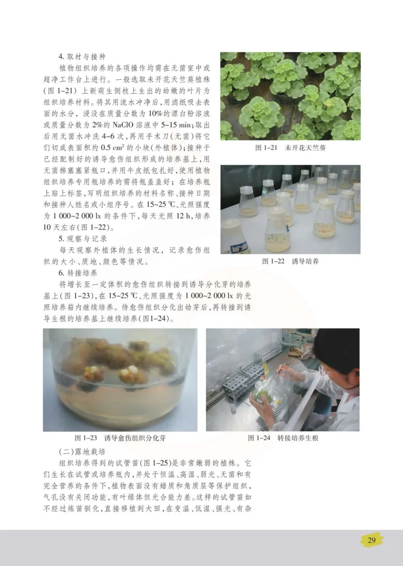 生物选修1生物技术实践_高中课本电子全科人教版语数英政历地物化生必修选修全套课本PPT_高中课本苏教版_高中生物苏教版