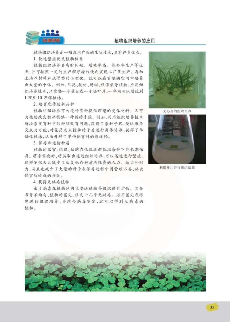 生物选修1生物技术实践_高中课本电子全科人教版语数英政历地物化生必修选修全套课本PPT_高中课本苏教版_高中生物苏教版