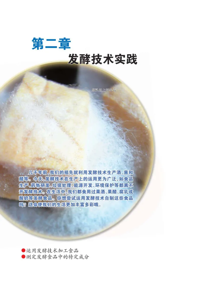 生物选修1生物技术实践_高中课本电子全科人教版语数英政历地物化生必修选修全套课本PPT_高中课本苏教版_高中生物苏教版