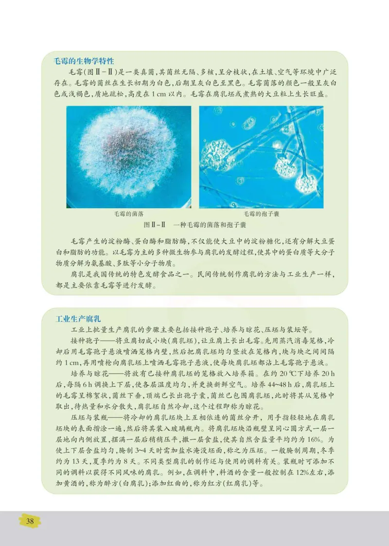 生物选修1生物技术实践_高中课本电子全科人教版语数英政历地物化生必修选修全套课本PPT_高中课本苏教版_高中生物苏教版