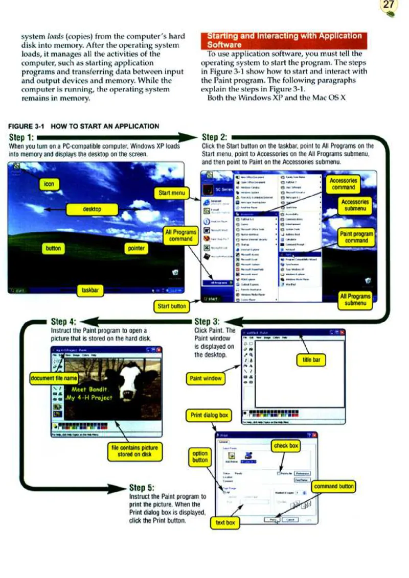 计算机英语_高中课本电子全科人教版语数英政历地物化生必修选修全套课本PPT_高中英语