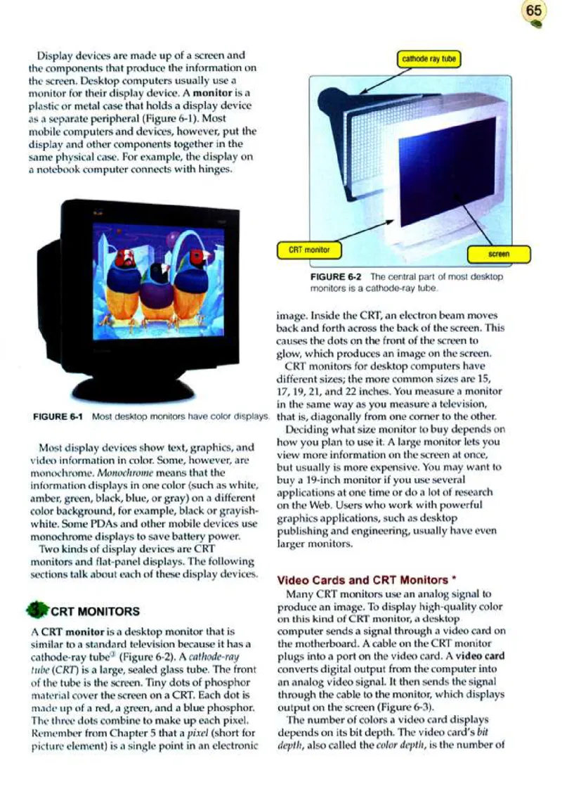 计算机英语_高中课本电子全科人教版语数英政历地物化生必修选修全套课本PPT_高中英语