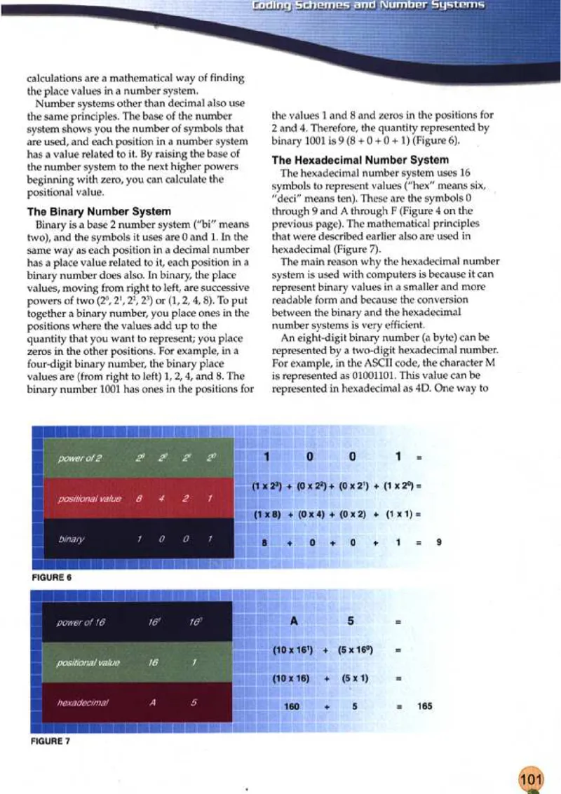 计算机英语_高中课本电子全科人教版语数英政历地物化生必修选修全套课本PPT_高中英语