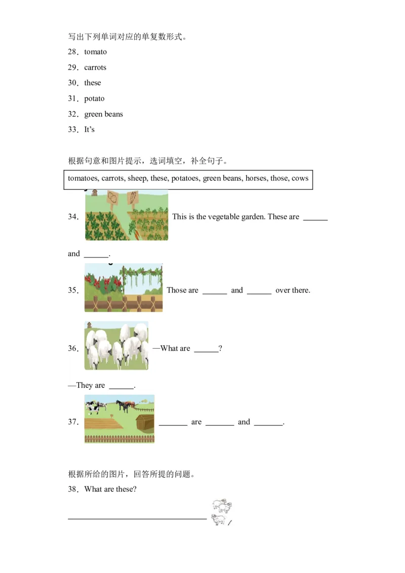 Unit4基础卷（人教PEP版）_单元复习专项-K50_2024版