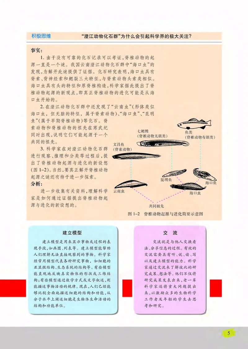 生物2必修遗传与进化_高中课本电子全科人教版语数英政历地物化生必修选修全套课本PPT_高中课本苏教版_高中生物苏教版