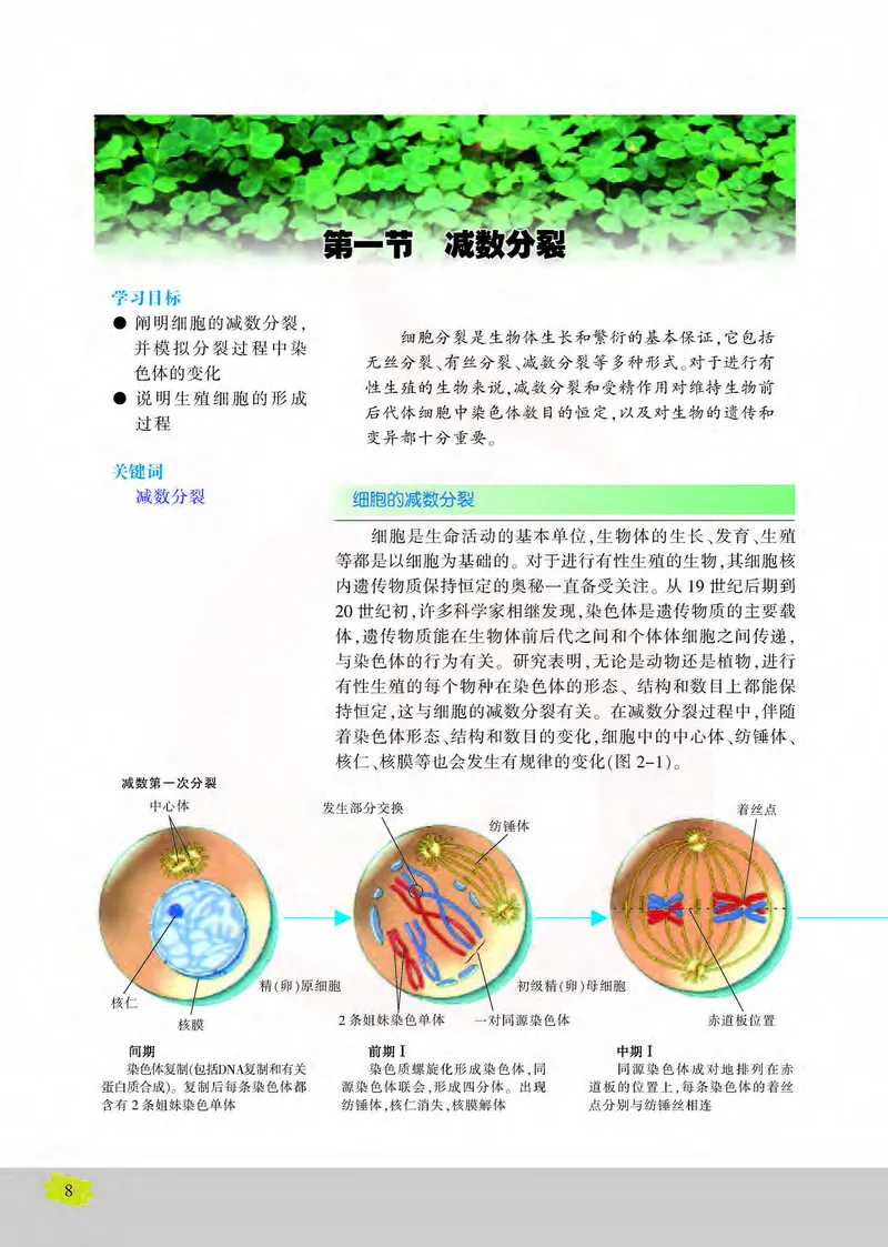 生物2必修遗传与进化_高中课本电子全科人教版语数英政历地物化生必修选修全套课本PPT_高中课本苏教版_高中生物苏教版
