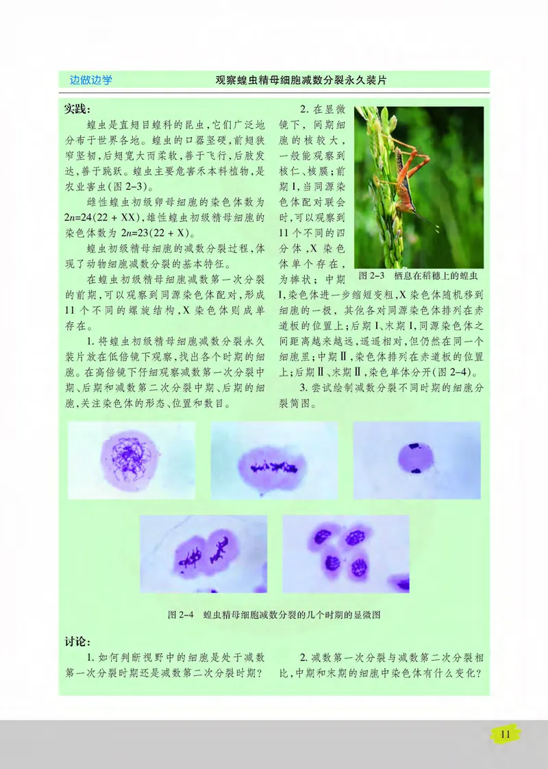 生物2必修遗传与进化_高中课本电子全科人教版语数英政历地物化生必修选修全套课本PPT_高中课本苏教版_高中生物苏教版
