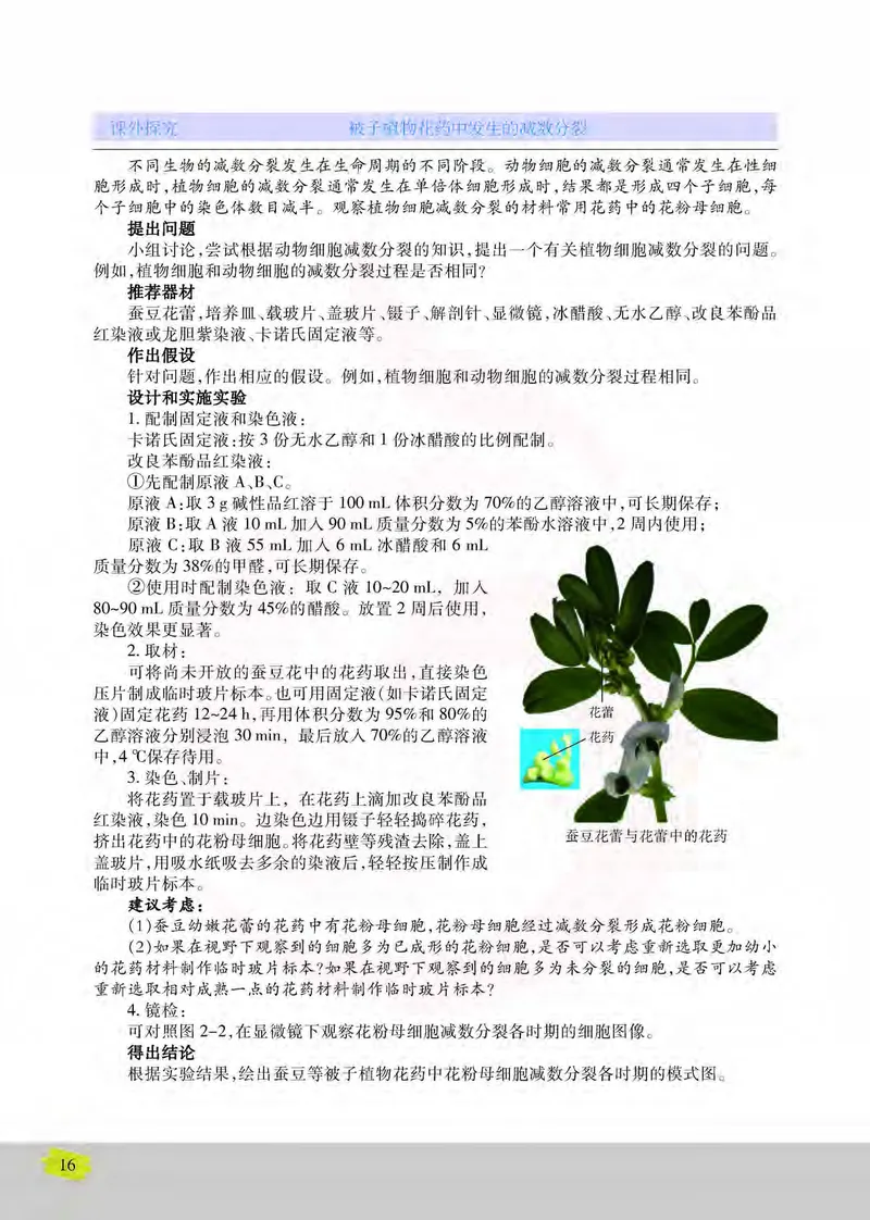 生物2必修遗传与进化_高中课本电子全科人教版语数英政历地物化生必修选修全套课本PPT_高中课本苏教版_高中生物苏教版
