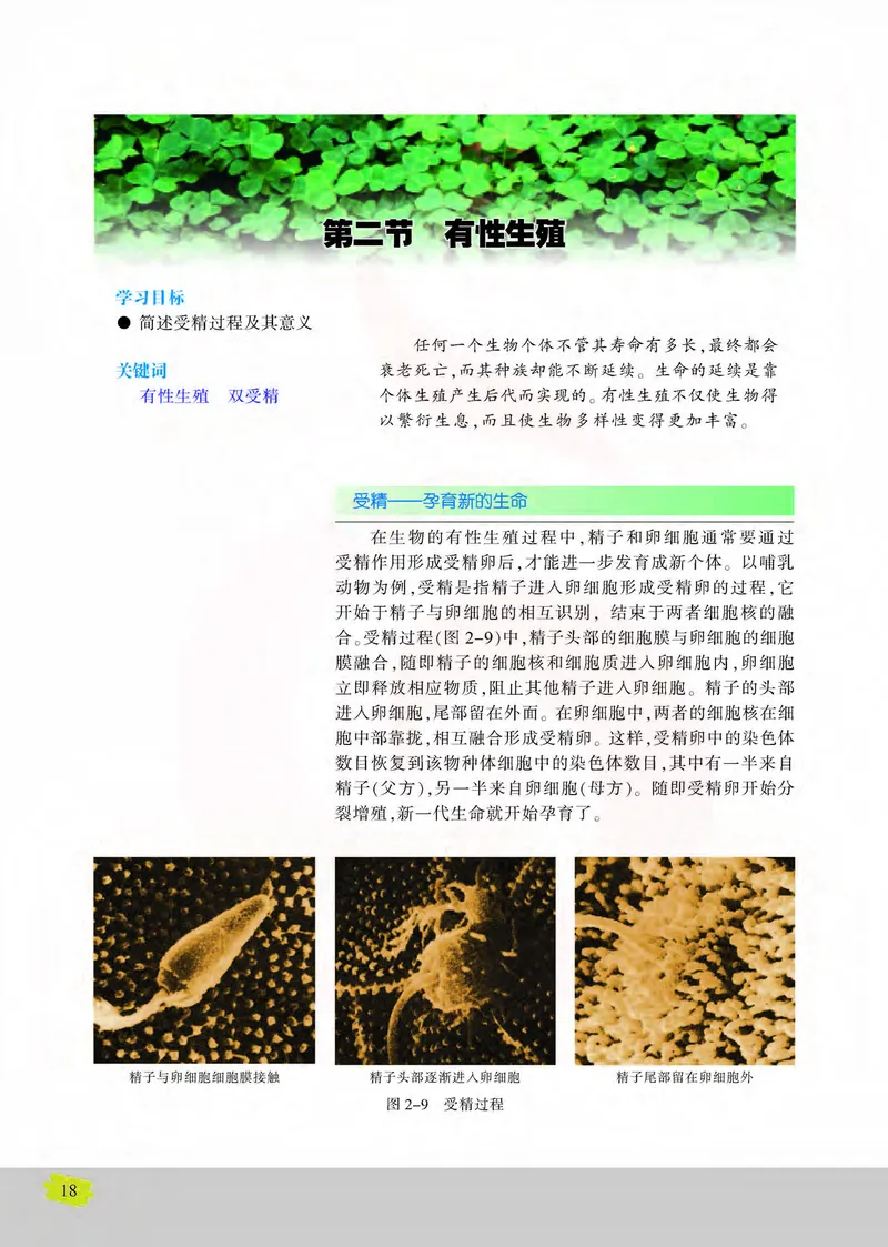 生物2必修遗传与进化_高中课本电子全科人教版语数英政历地物化生必修选修全套课本PPT_高中课本苏教版_高中生物苏教版