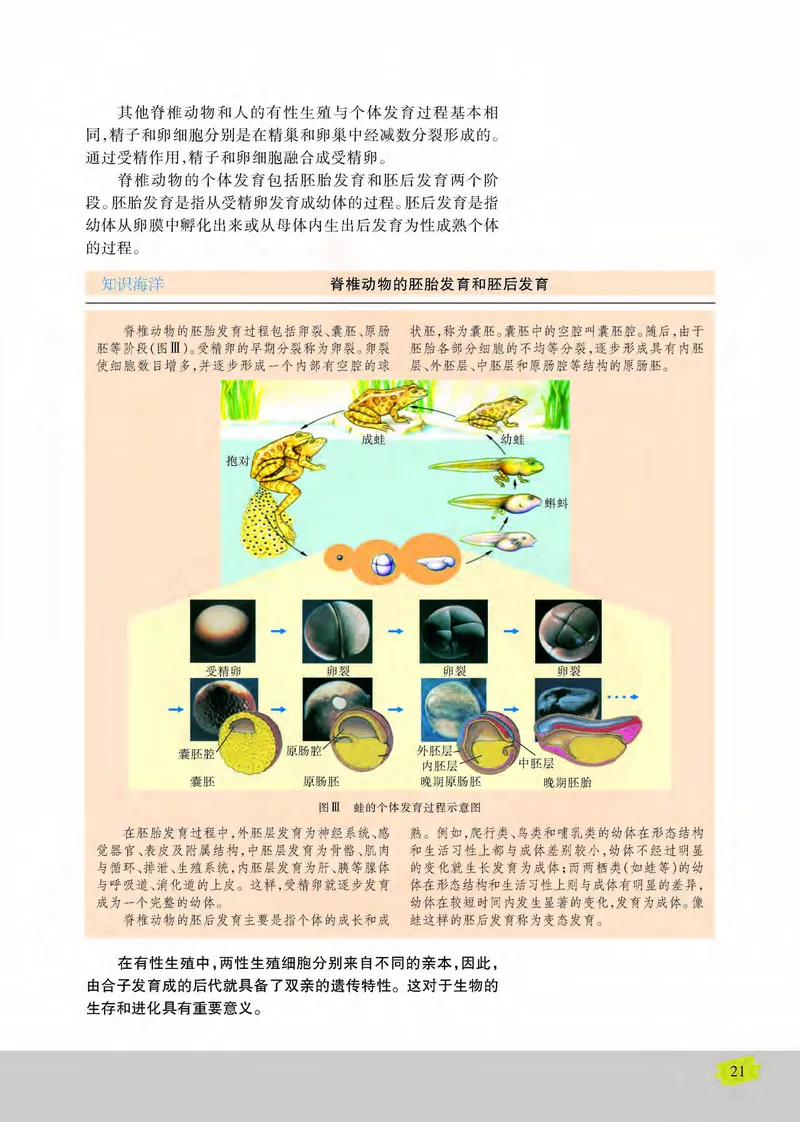 生物2必修遗传与进化_高中课本电子全科人教版语数英政历地物化生必修选修全套课本PPT_高中课本苏教版_高中生物苏教版
