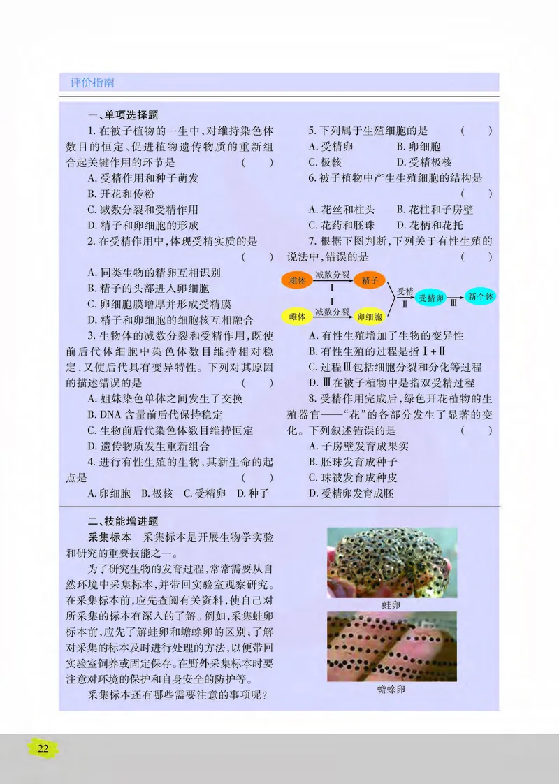 生物2必修遗传与进化_高中课本电子全科人教版语数英政历地物化生必修选修全套课本PPT_高中课本苏教版_高中生物苏教版