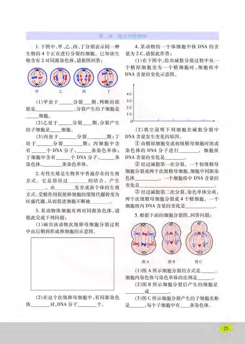 生物2必修遗传与进化_高中课本电子全科人教版语数英政历地物化生必修选修全套课本PPT_高中课本苏教版_高中生物苏教版