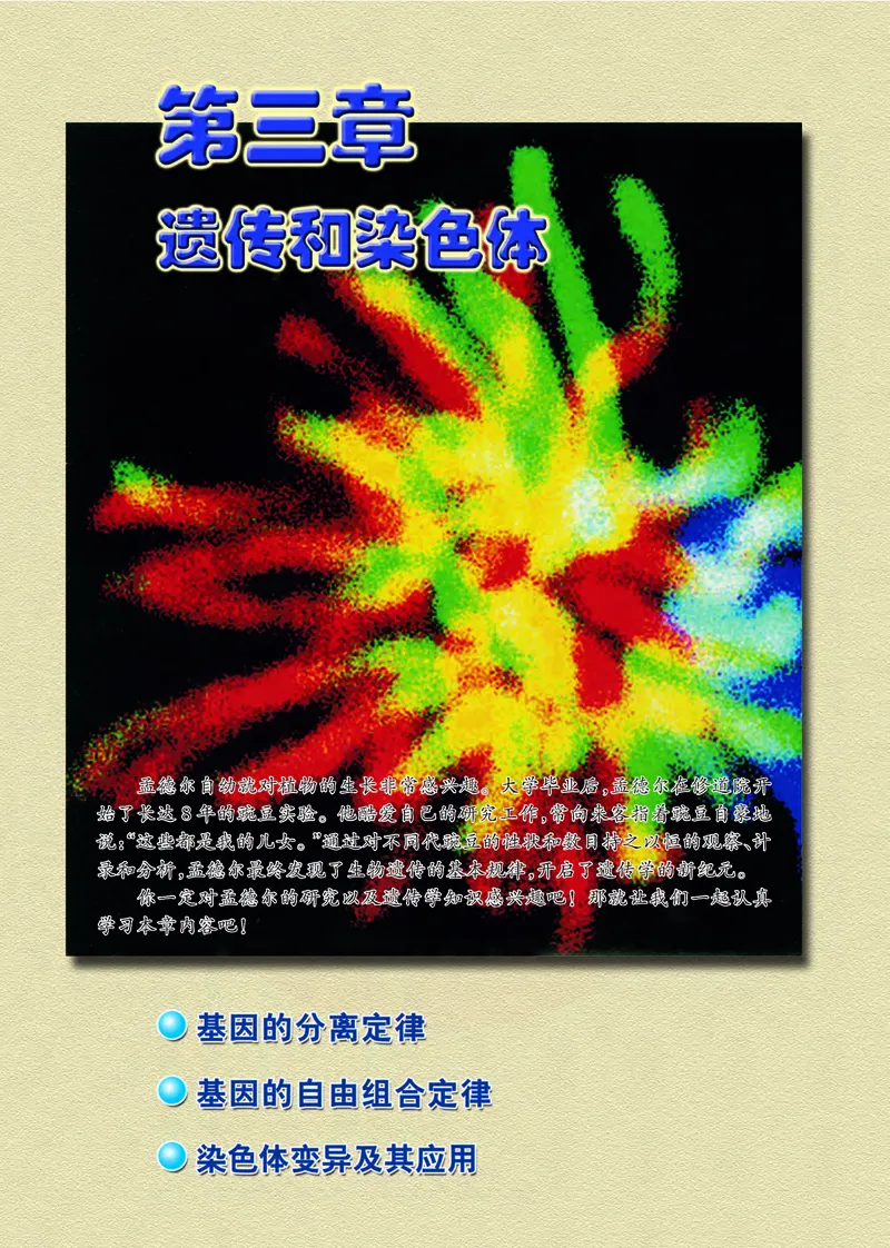 生物2必修遗传与进化_高中课本电子全科人教版语数英政历地物化生必修选修全套课本PPT_高中课本苏教版_高中生物苏教版