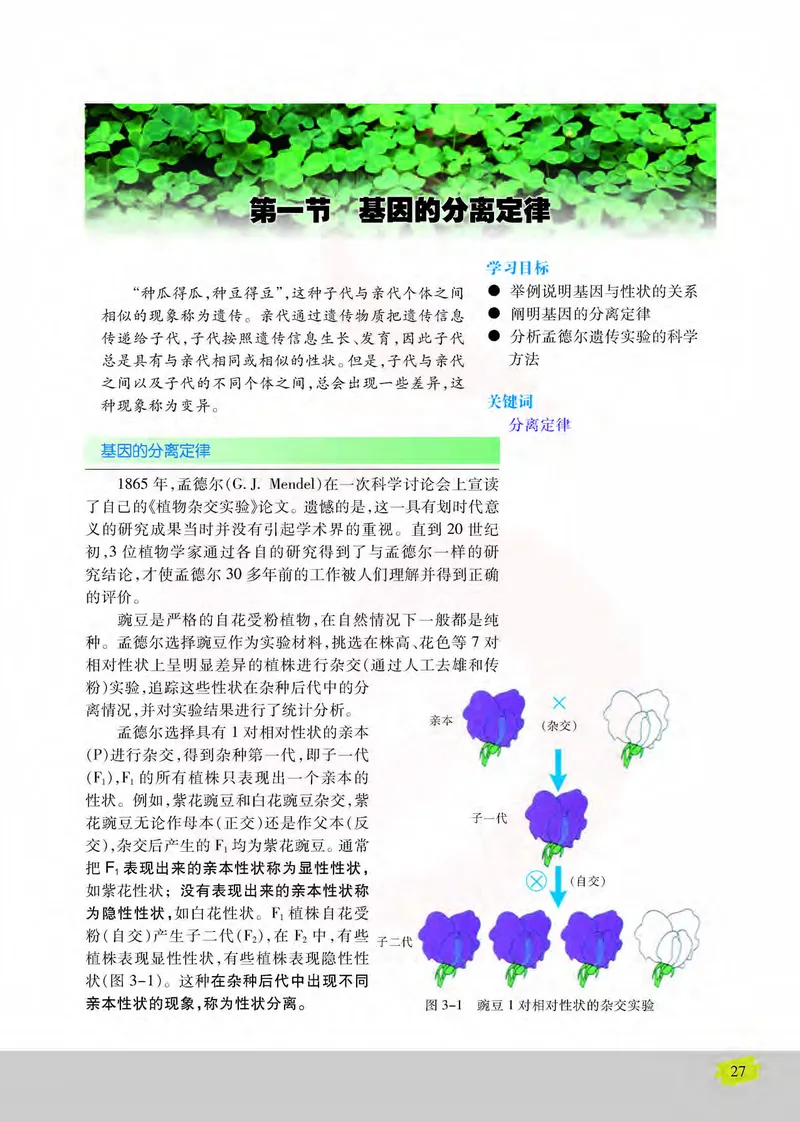 生物2必修遗传与进化_高中课本电子全科人教版语数英政历地物化生必修选修全套课本PPT_高中课本苏教版_高中生物苏教版