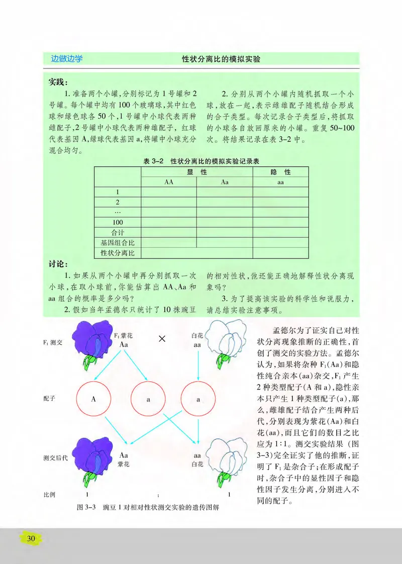 生物2必修遗传与进化_高中课本电子全科人教版语数英政历地物化生必修选修全套课本PPT_高中课本苏教版_高中生物苏教版