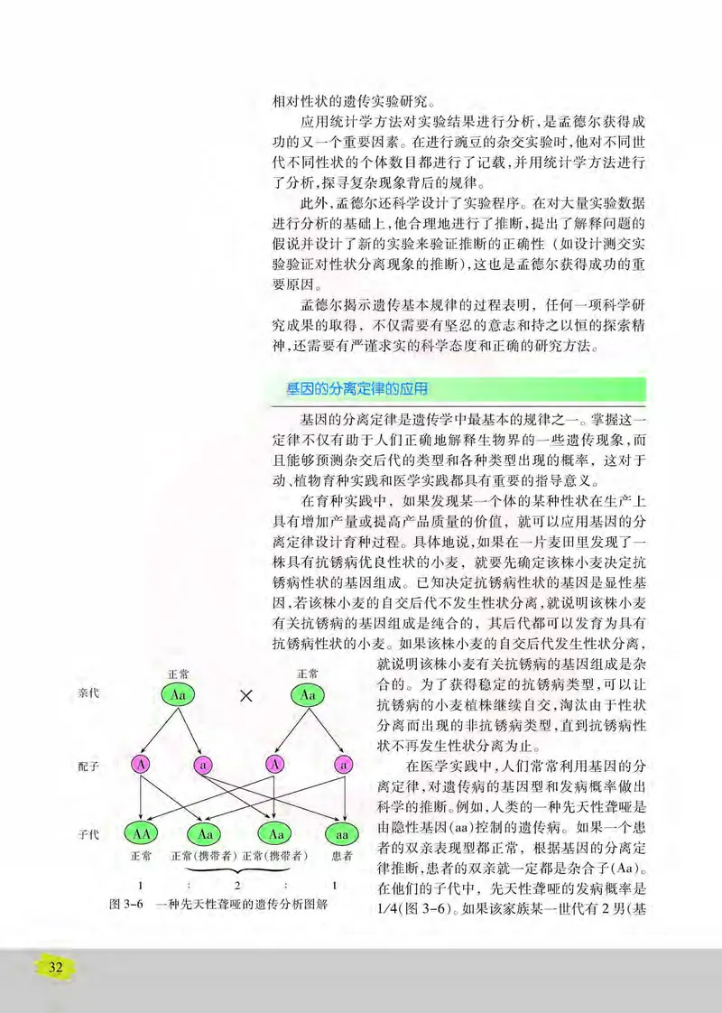 生物2必修遗传与进化_高中课本电子全科人教版语数英政历地物化生必修选修全套课本PPT_高中课本苏教版_高中生物苏教版