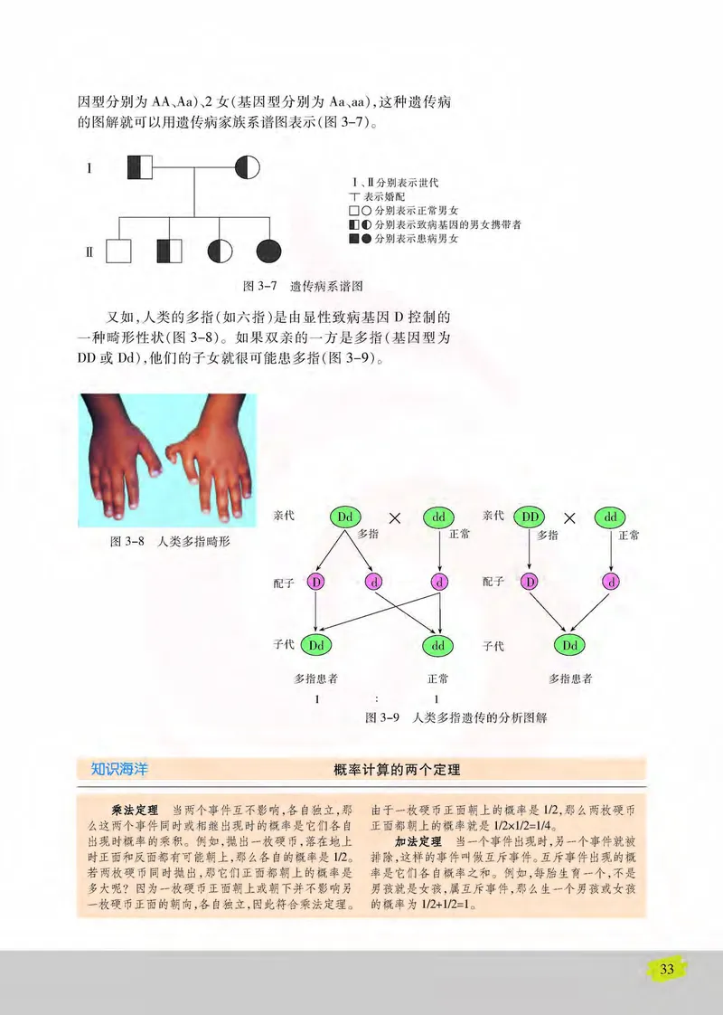 生物2必修遗传与进化_高中课本电子全科人教版语数英政历地物化生必修选修全套课本PPT_高中课本苏教版_高中生物苏教版