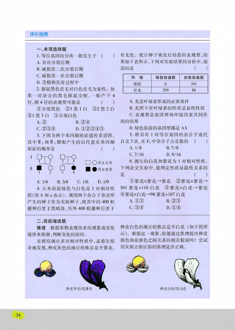 生物2必修遗传与进化_高中课本电子全科人教版语数英政历地物化生必修选修全套课本PPT_高中课本苏教版_高中生物苏教版