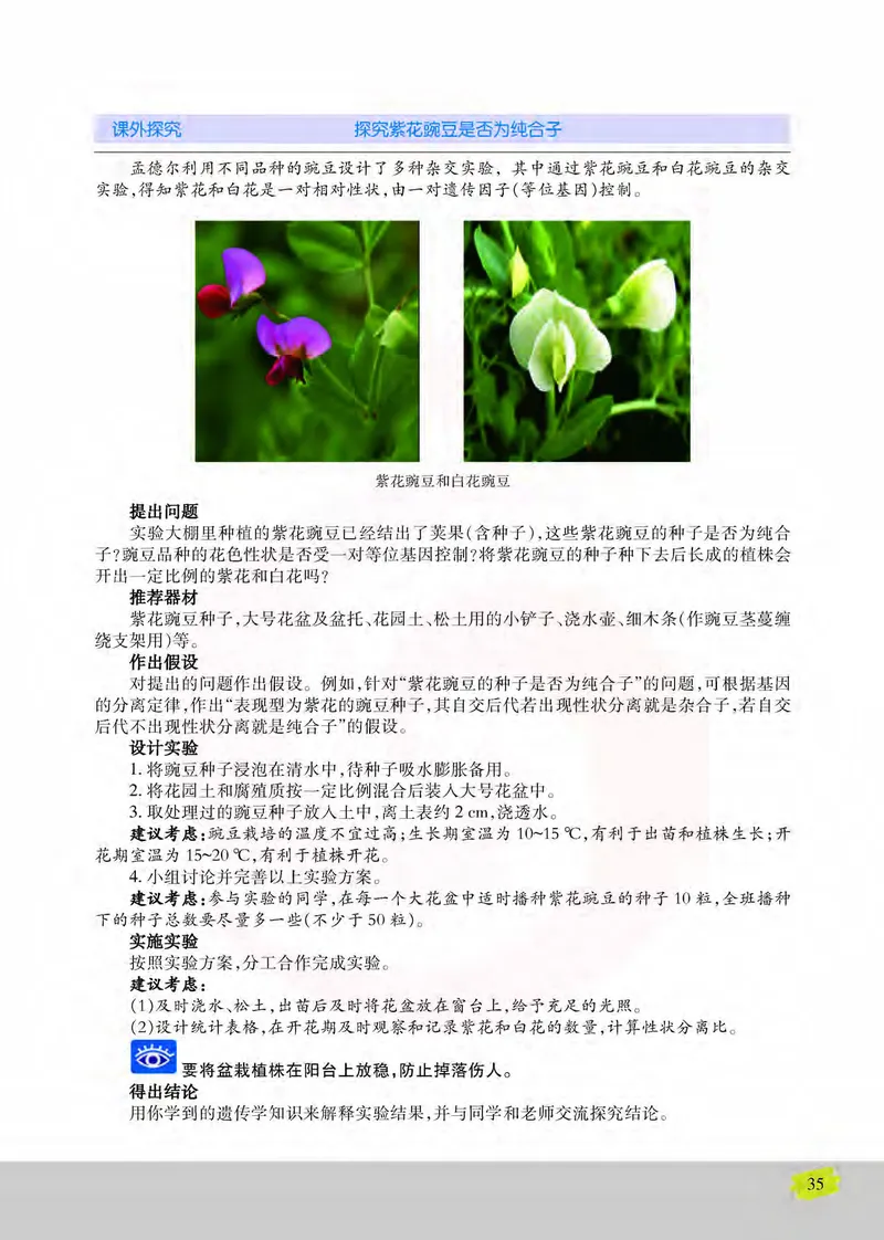生物2必修遗传与进化_高中课本电子全科人教版语数英政历地物化生必修选修全套课本PPT_高中课本苏教版_高中生物苏教版
