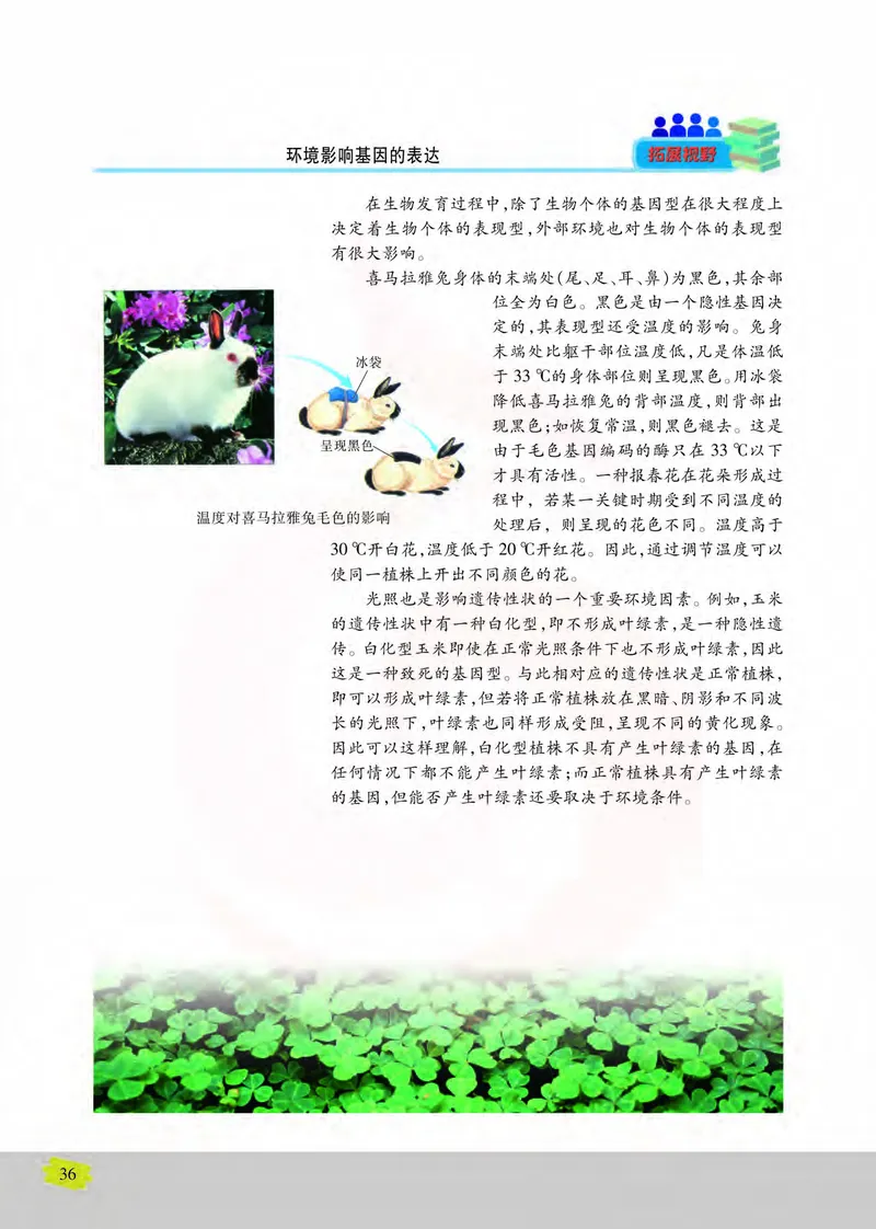 生物2必修遗传与进化_高中课本电子全科人教版语数英政历地物化生必修选修全套课本PPT_高中课本苏教版_高中生物苏教版