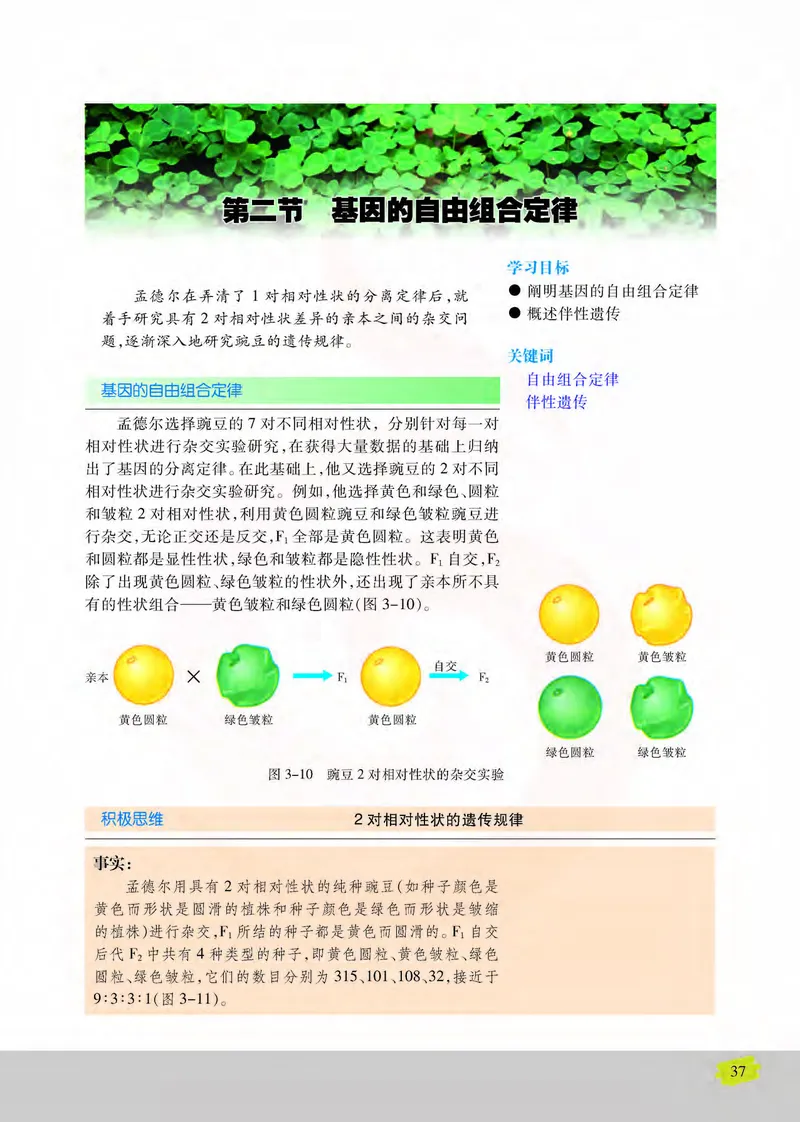 生物2必修遗传与进化_高中课本电子全科人教版语数英政历地物化生必修选修全套课本PPT_高中课本苏教版_高中生物苏教版