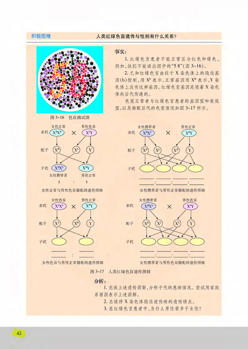 生物2必修遗传与进化_高中课本电子全科人教版语数英政历地物化生必修选修全套课本PPT_高中课本苏教版_高中生物苏教版