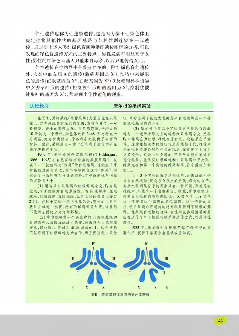生物2必修遗传与进化_高中课本电子全科人教版语数英政历地物化生必修选修全套课本PPT_高中课本苏教版_高中生物苏教版