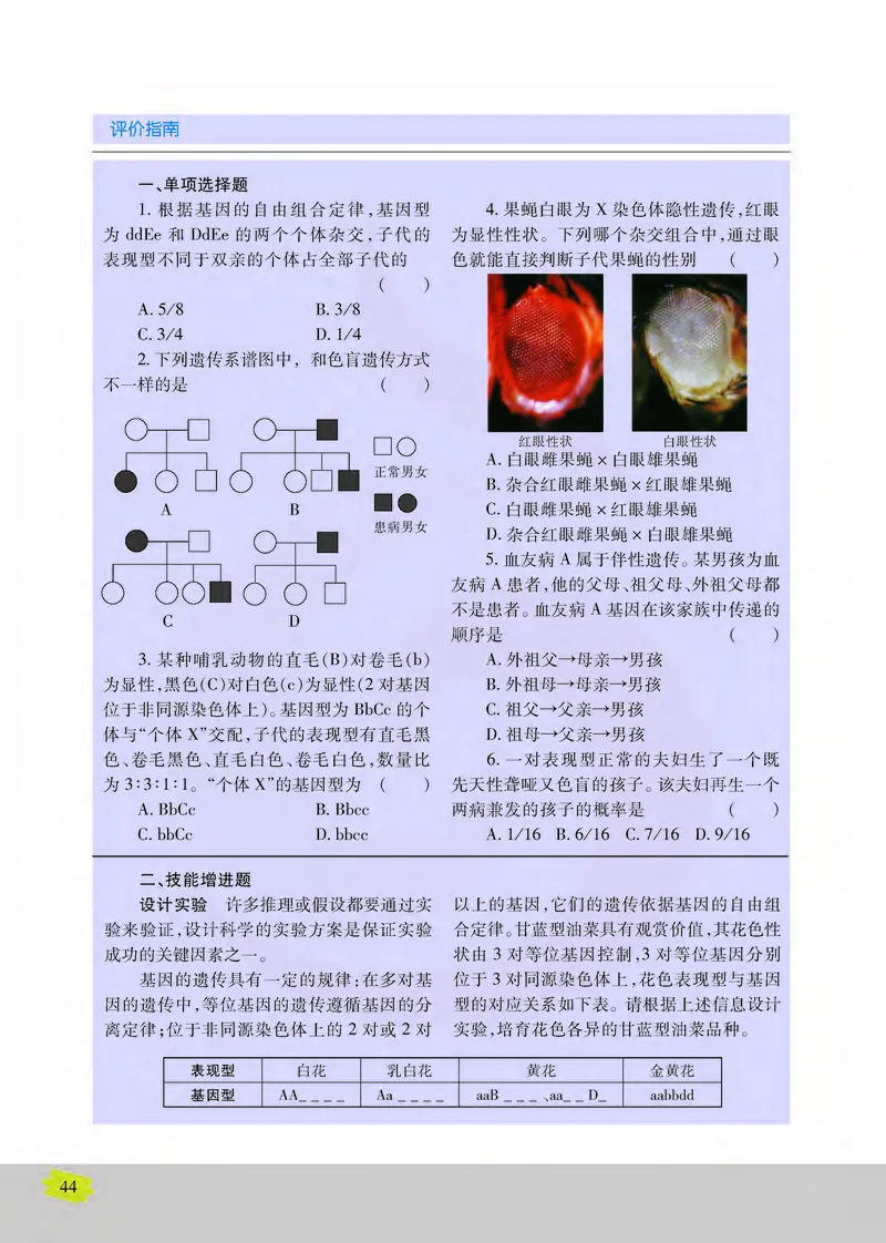 生物2必修遗传与进化_高中课本电子全科人教版语数英政历地物化生必修选修全套课本PPT_高中课本苏教版_高中生物苏教版