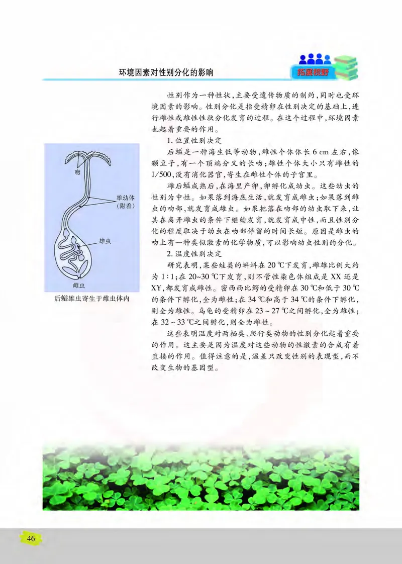 生物2必修遗传与进化_高中课本电子全科人教版语数英政历地物化生必修选修全套课本PPT_高中课本苏教版_高中生物苏教版