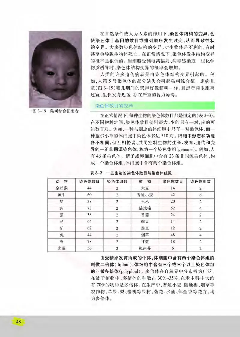 生物2必修遗传与进化_高中课本电子全科人教版语数英政历地物化生必修选修全套课本PPT_高中课本苏教版_高中生物苏教版