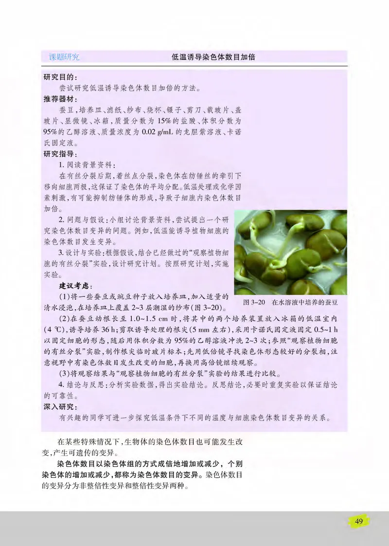 生物2必修遗传与进化_高中课本电子全科人教版语数英政历地物化生必修选修全套课本PPT_高中课本苏教版_高中生物苏教版