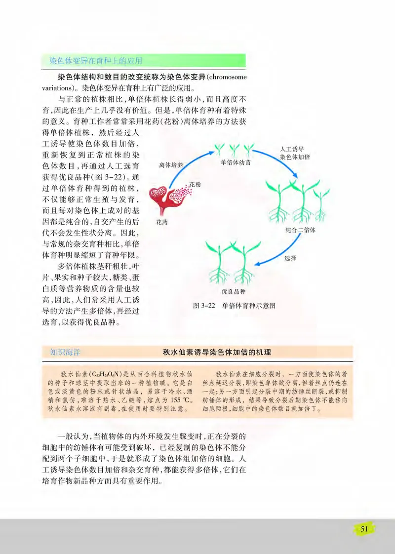 生物2必修遗传与进化_高中课本电子全科人教版语数英政历地物化生必修选修全套课本PPT_高中课本苏教版_高中生物苏教版