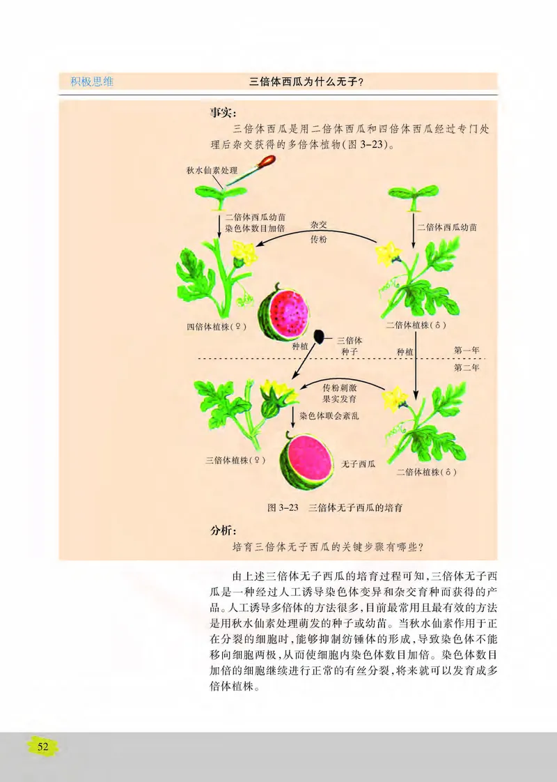 生物2必修遗传与进化_高中课本电子全科人教版语数英政历地物化生必修选修全套课本PPT_高中课本苏教版_高中生物苏教版