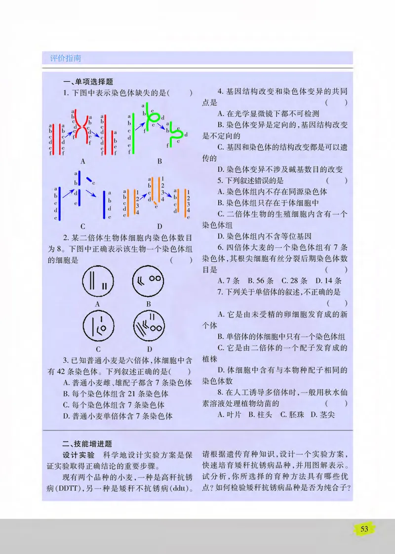 生物2必修遗传与进化_高中课本电子全科人教版语数英政历地物化生必修选修全套课本PPT_高中课本苏教版_高中生物苏教版