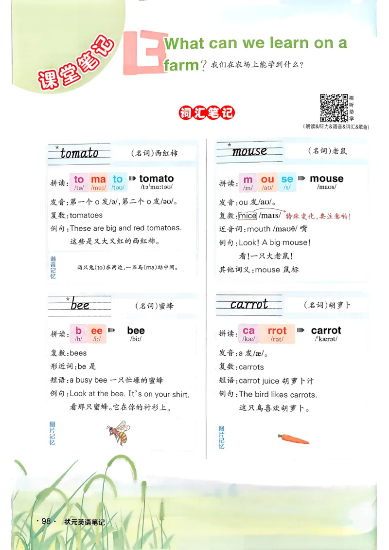 英语笔记_12英语笔记（全册）