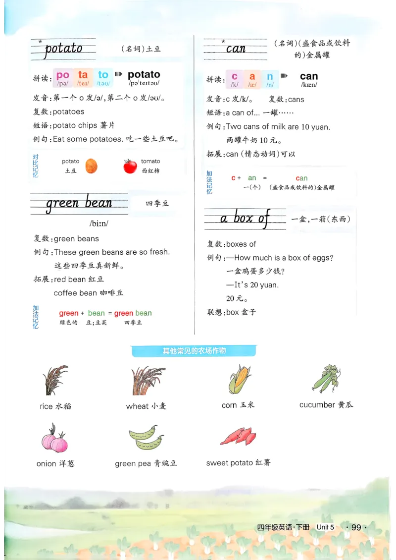 英语笔记_12英语笔记（全册）