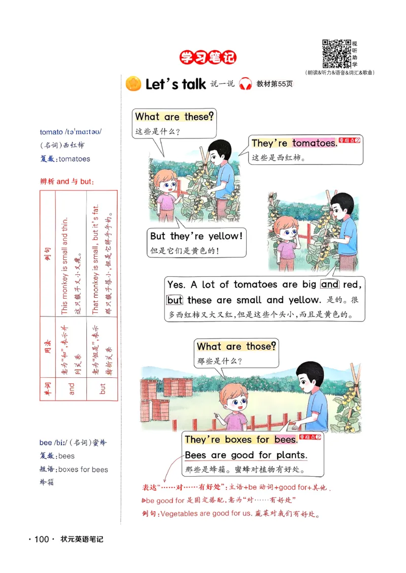 英语笔记_12英语笔记（全册）