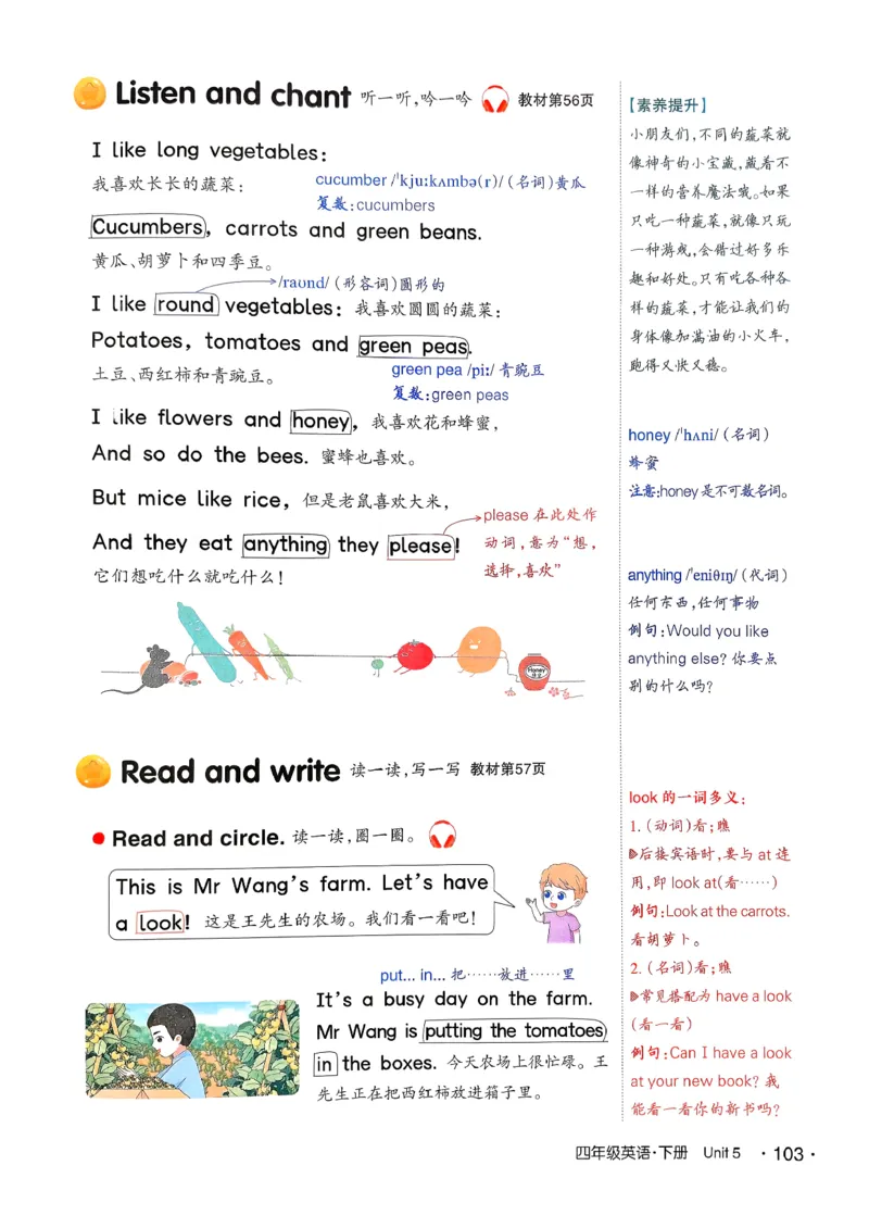 英语笔记_12英语笔记（全册）