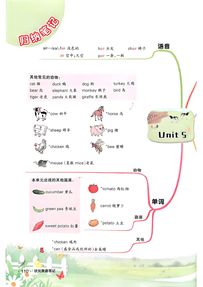 英语笔记_12英语笔记（全册）