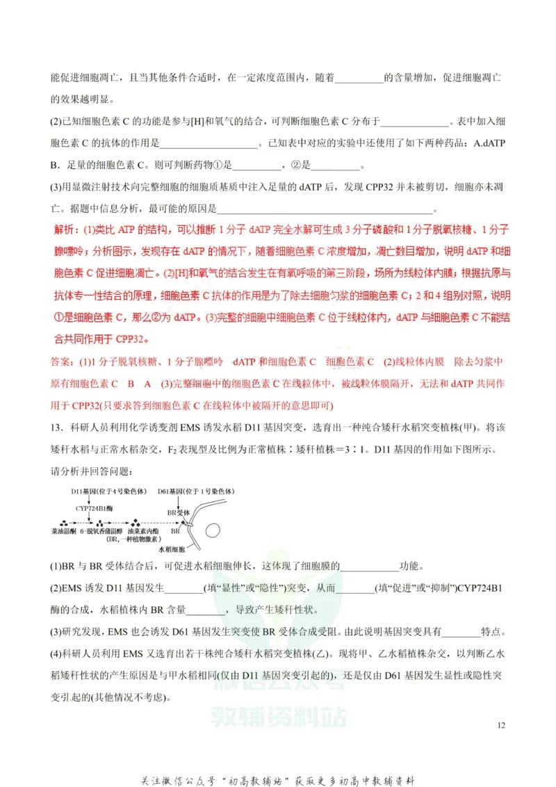 高考物理-简答题解题方法与技巧_高中全科精选资料包_物理精选资料包_解题技巧