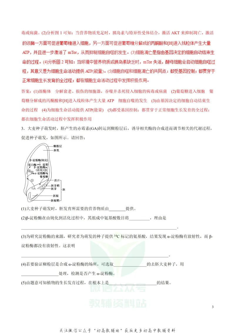 高考物理-简答题解题方法与技巧_高中全科精选资料包_物理精选资料包_解题技巧