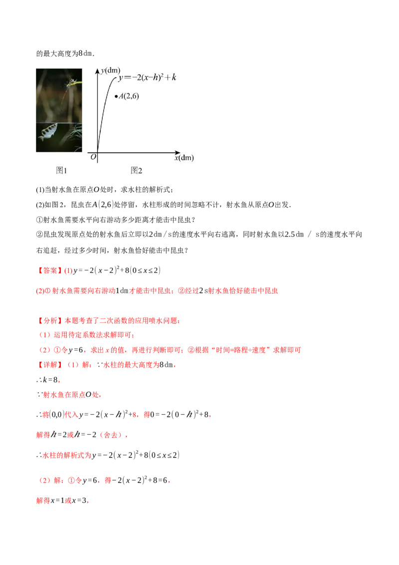 专题22.5实际问题与二次函数（十大题型）（举一反三）（人教版）（教师版）_初中数学_九年级数学上册（人教版）_母题专项-U66_2025版
