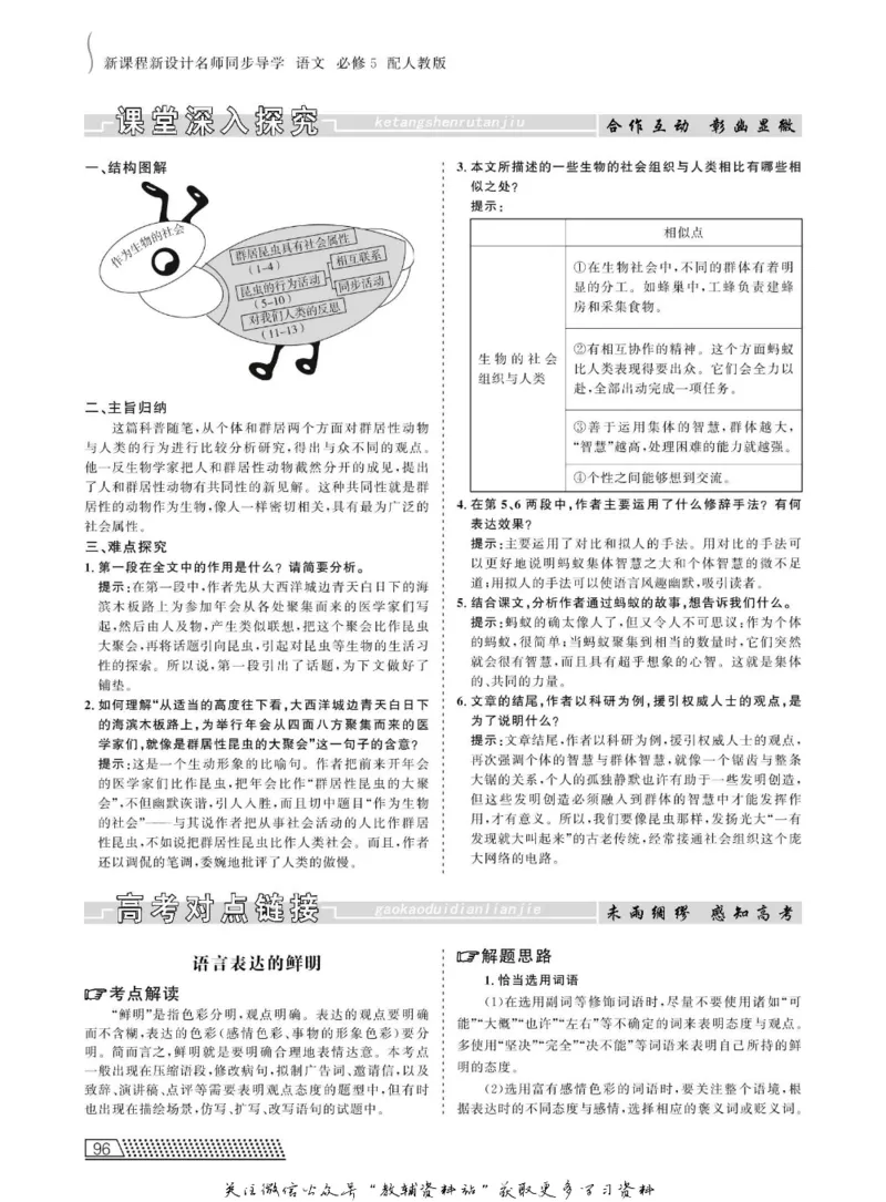 名师同步导学语文人教版必修5_名师同步导学_高中语文