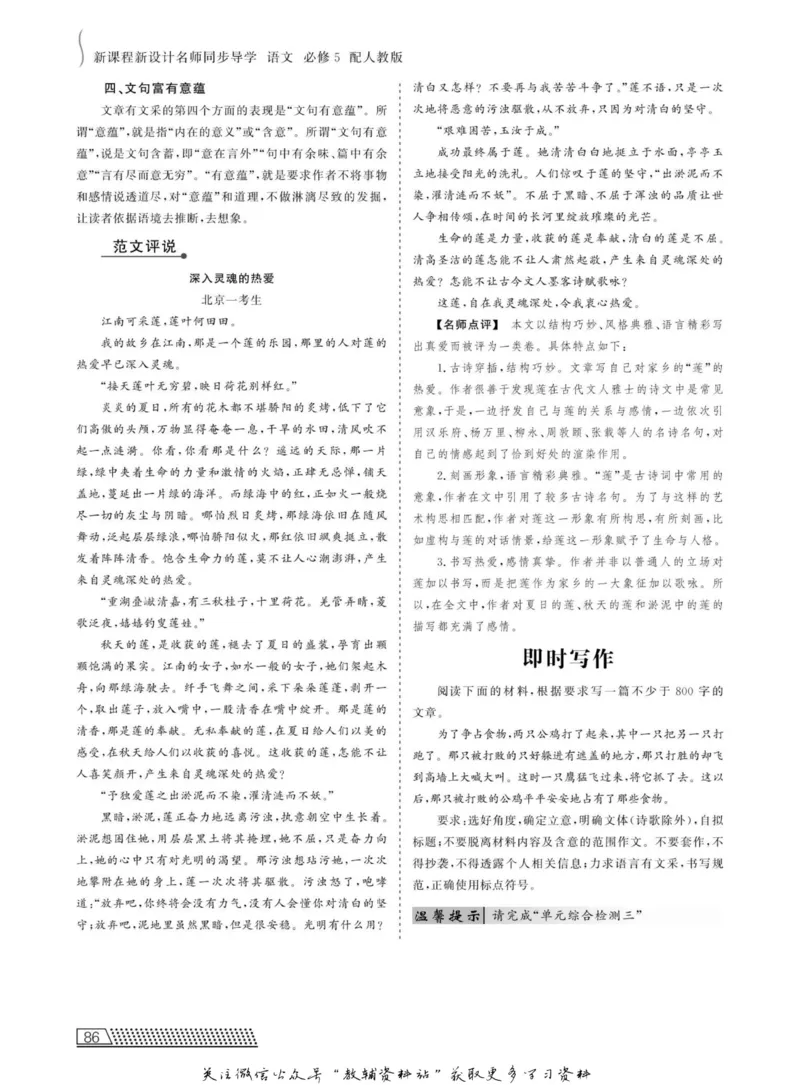 名师同步导学语文人教版必修5_名师同步导学_高中语文