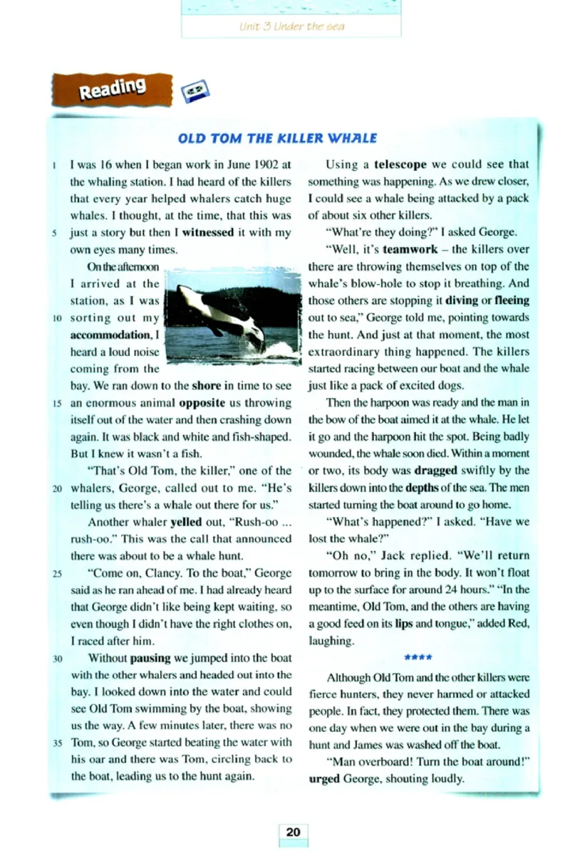 新课标高中英语选修7_高中课本电子全科人教版语数英政历地物化生必修选修全套课本PPT_高中英语