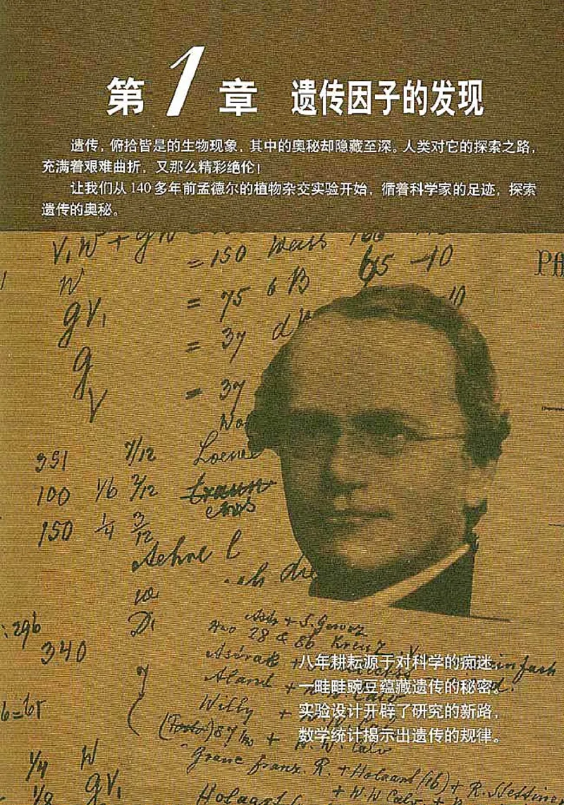 高中生物必修2遗传与进化_高中课本电子全科人教版语数英政历地物化生必修选修全套课本PPT_高中生物