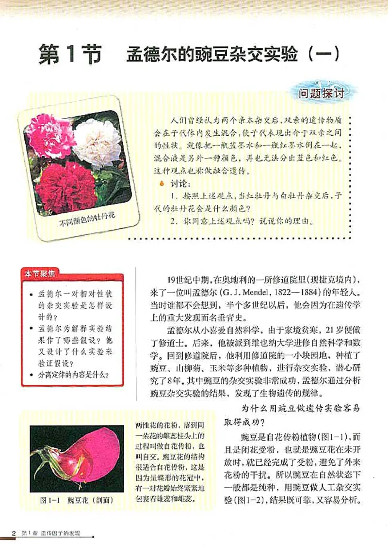 高中生物必修2遗传与进化_高中课本电子全科人教版语数英政历地物化生必修选修全套课本PPT_高中生物